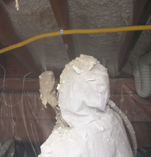 Oshawa ON crawl space insulation